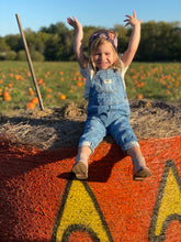 Load image into Gallery viewer, Spooky Pumpkins
