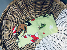 Load image into Gallery viewer, Ride ‘em Santa
