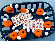 Load image into Gallery viewer, Healthcare Pumpkins
